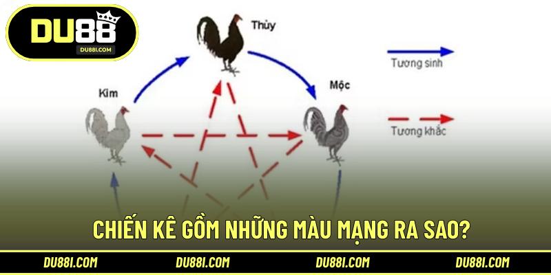 Chiến kê gồm những màu mạng ra sao?